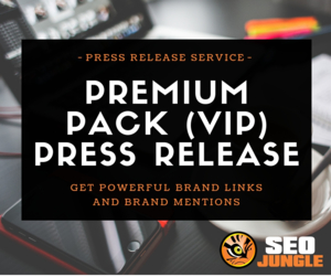 PRESS RELEASE SERVICE(VIP PACK) Thumbnail
