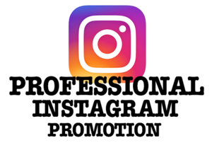 I Will Organically Build your Instagram with Targeted Followers for ANY Niche Thumbnail