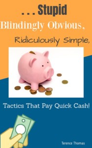 Stupid, Blindingly Obvious, Ridiculously Simple Tactics That Pay Quick Cash Thumbnail