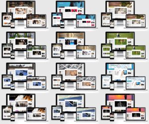 Turnkey Affiliate and AdSense Blogs in Hot Niches - Plus Established Websites Available Thumbnail