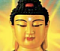 ShopifyMaster's Avatar