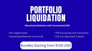 FIRE SALE: Established Monetized Sites | Oct &amp; Nov Revenue GUARANTEED | Video Proof | Bulk Discounts Thumbnail